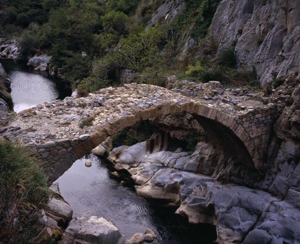 FRANCE, Languedoc-Roussillon, Pyrenees-Orientales, “Clue de la Fou”.  Roman bridge across the River Algy south of St Paul de Fenouillet.  Trees and eroded rocks overhanging rippled water.