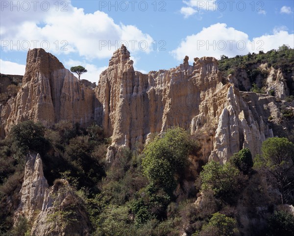 FRANCE, Languedoc-Roussillon, Pyrenees-Orientales, Ille Sur Tet.  Sandstone area known as Orgues.  Eroded pinnacles of sandstone rock rising above trees.