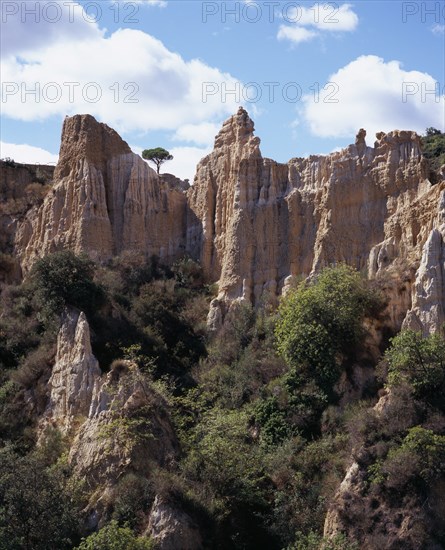 FRANCE, Languedoc-Roussillon, Pyrenees-Orientales, Ille Sur Tet.  Sandstone area known as Orgues.  Eroded pinnacles of sandstone rock rising above trees.