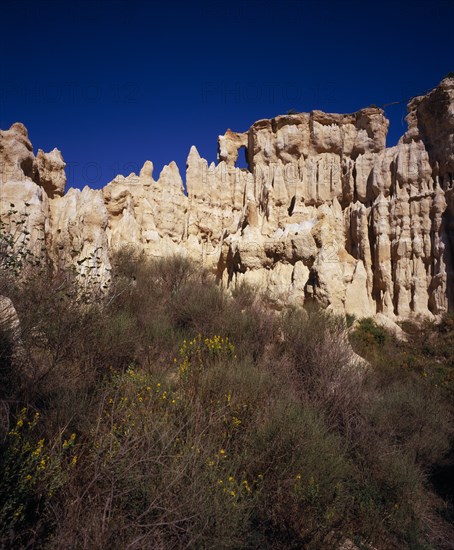 FRANCE, Languedoc-Roussillon, Pyrenees-Orientales, Ille Sur Tet.  Sandstone area known as Orgues.  Eroded sandstone cliff rising above vegetation.