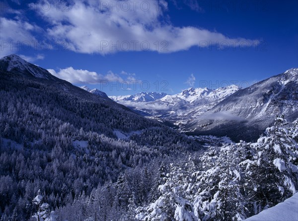 FRANCE, Provence-Cote d’Azur, Hautes-Alpes, View west from Col de Montgenevre over snow covered trees towards Ecrin National Peak and mountain peaks.