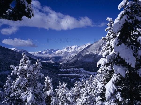 FRANCE, Provence-Cote d’Azur, Hautes-Alpes, View west from Col de Montgenevre over snow covered trees towards Ecrin National Peak and mountain peaks.  Part framed by snow covered branches in foreground.