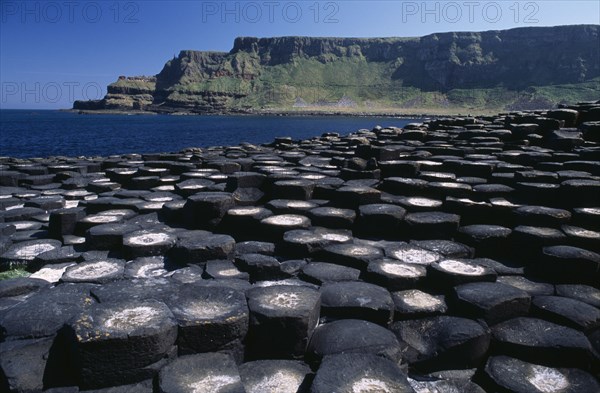 NORTHERN IRELAND, Co Antrim, Giants Causeway, Interlocking basalt stone columns left by volcanic eruptions. View across the stones towards the east from the main section with cliffs and coastline