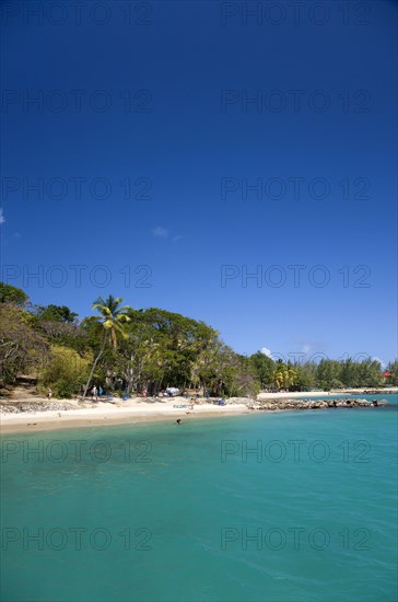 WEST INDIES, St Lucia, Gros Islet , Pigeon Island National Historic Park Tourists on the beach lined with coconut palm trees