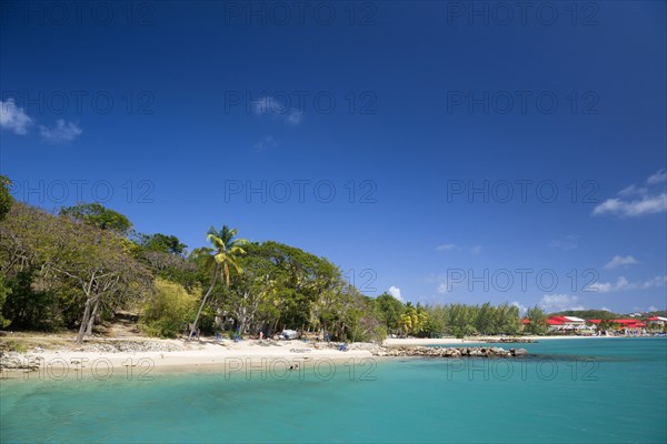 WEST INDIES, St Lucia, Gros Islet, Pigeon Island National Historic Park Tourists on the beach lined with coconut palm trees