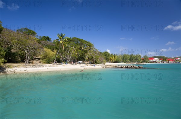 WEST INDIES, St Lucia, Gros Islet, Pigeon Island National Historic Park Tourists on the beach lined with coconut palm trees