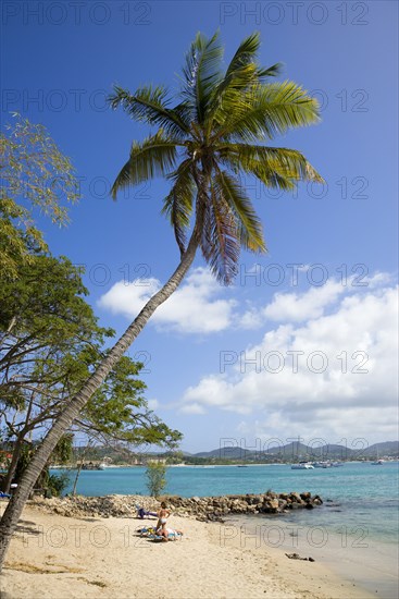WEST INDIES, St Lucia, Gros Islet , Pigeon Island National Historic Park Tourists on the beach lined with coconut palm trees and Rodney Bay beyond