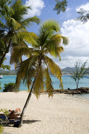 WEST INDIES, St Lucia, Gros Islet , Pigeon Island National Historic Park Tourists on the beach lined with coconut palm trees and Rodney Bay beyond