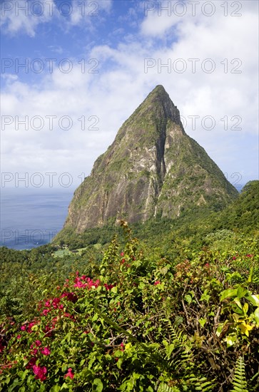 WEST INDIES, St Lucia, Soufriere , Val des Pitons The volcanic plug of Petit Piton and the lush valley seen from the sun deck of the Ladera Spa Resort Hotel