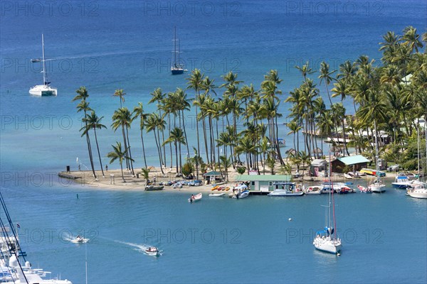 WEST INDIES, St Lucia, Castries , Marigot Bay Yachts at anchor beyond the small coconut palm tree lined beach of the Marigot Beach Club sitting at the entrance