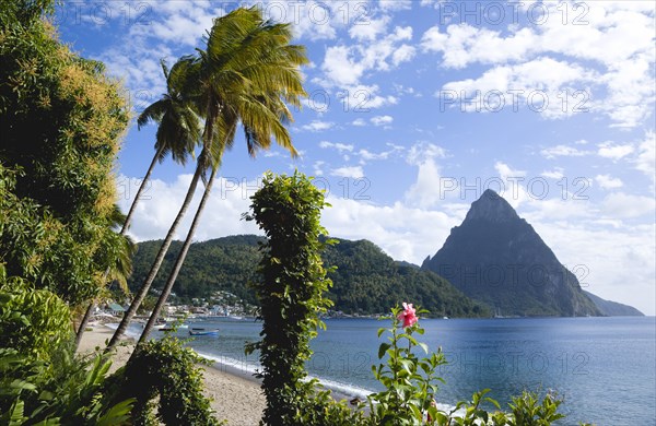 WEST INDIES, St Lucia, Soufriere, Beach lined with coconut palm trees with the town and the volcanic plug mountain of Petit Piton beyond