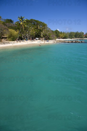 WEST INDIES, St Lucia, Gros Islet , Pigeon Island National Historic Park Tourists on the beach lined with coconut palm trees