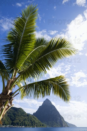 WEST INDIES, St Lucia, Soufriere, Soufriere Beach lined with coconut palm trees with the town and the volcanic plug mountain of Petit Piton beyond