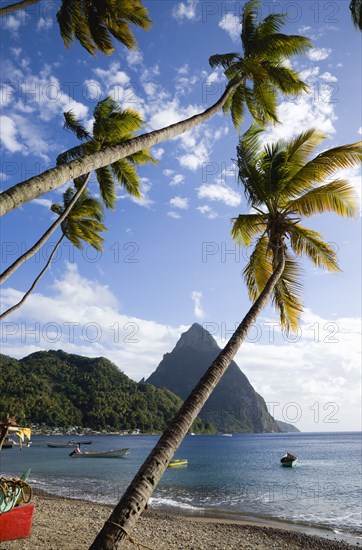 WEST INDIES, St Lucia, Soufriere, Fishing boats on the beach lined with coconut palm trees with the town and the volcanic plug mountain of Petit Piton beyond