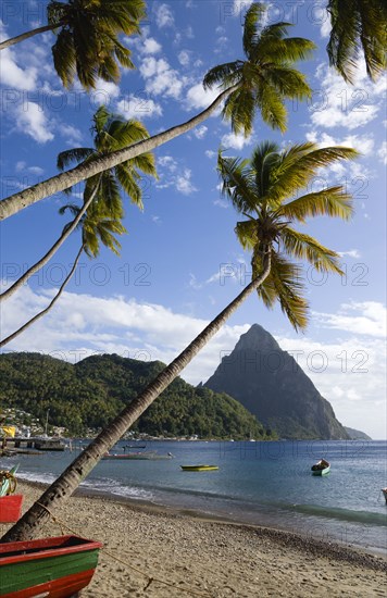 WEST INDIES, St Lucia, Soufriere, Fishing boats on the beach lined with coconut palm trees with the town and the volcanic plug mountain of Petit Piton beyond