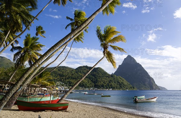 WEST INDIES, St Lucia, Soufriere, Fishing boats on the beach lined with coconut palm trees with the town and the volcanic plug mountain of Petit Piton beyond