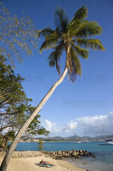 WEST INDIES, St Lucia, Gros Islet , Pigeon Island National Historic Park Tourists on the beach lined with coconut palm trees and Rodney Bay beyond