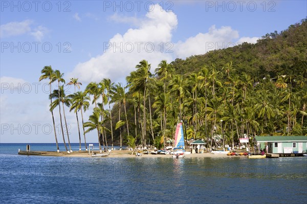 WEST INDIES, St Lucia, Castries , Marigot Bay The small coconut palm tree lined beach of the Marigot Beach Club at the entrance to the harbour