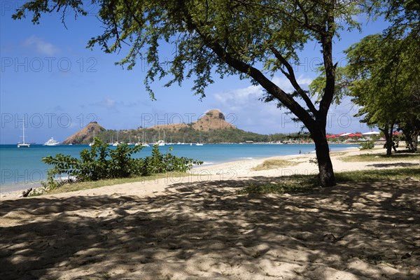 WEST INDIES, St Lucia, Gros Islet , Pigeon Island National Historic Park seen through trees from a nearby beach on a causeway to the island with yachts at anchor in Rodney Bay