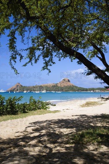 WEST INDIES, St Lucia, Gros Islet , Pigeon Island National Historic Park seen through trees from a nearby beach on a causeway to the island with yachts at anchor in Rodney Bay