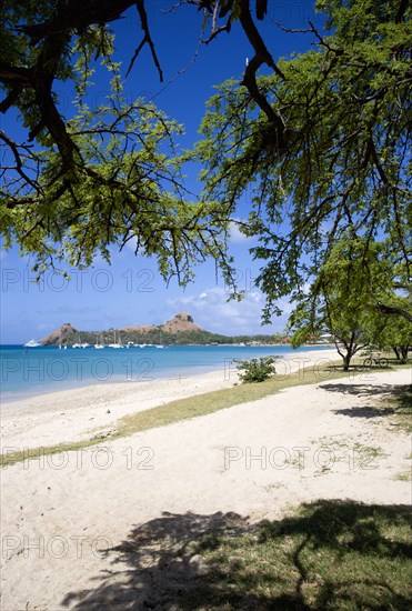 WEST INDIES, St Lucia, Gros Islet , Pigeon Island National Historic Park seen through trees from a nearby beach on a causeway to the island with yachts at anchor in Rodney Bay