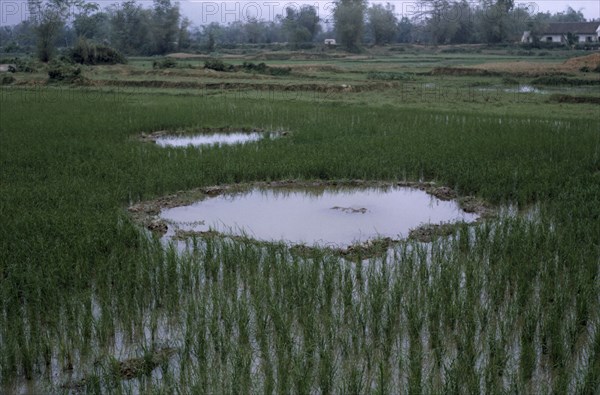 VIETNAM, North, War, Paddy fields with bomb craters.