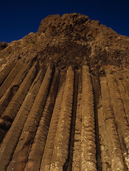 NORTHERN IRELAND, County Antrim, Giants Causeway, The section known as The Organ. Pillars of rock in cliff-face which resemble a pipe organ seen in golden light.