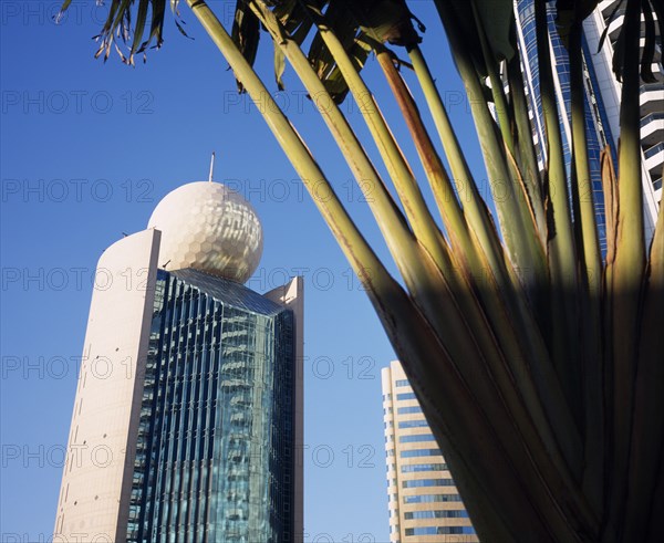 UAE, Dubai, Deira, "Etisalat Building on Dubai Creek with traveller’s palm, partly in shadow in the foreground."