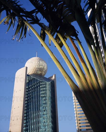 UAE, Dubai, Deira, "Etisalat Building on Dubai Creek with traveller’s palm, partly in shadow in the foreground."