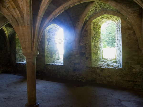 ENGLAND, East Sussex, Battle, Battle Abbey. Partially ruined abbey complex. Interior of the novices room