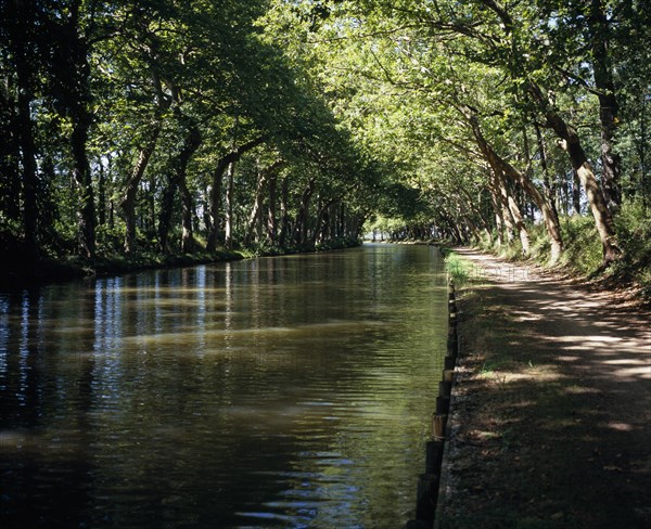 FRANCE, Midi-Pyrenees, Haute-Garonne, Canal du Midi.  Late summer sunshine filtering through plane trees lining the Canal du Midi and high-lighting the surface ripples.