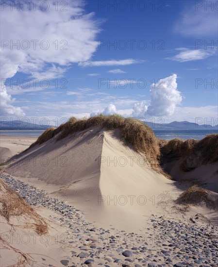 WALES, Isle of Anglesey, Newborough Warren , Wind shaped sand dune topped with thatch of grasses and with smooth grey pebbles scattered across the sand in the foreground.