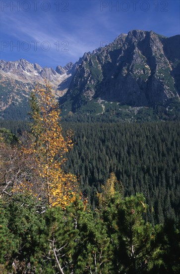 SLOVAKIA, Carpathian Mtns, High Tatras Mtns, View towards the High Tatras mountains from the Magistrala trail near Strbske Pleso with mix of deciduous and coniferous trees in the foreground.