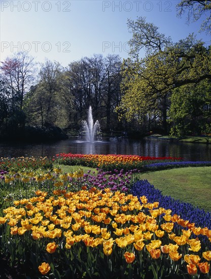 HOLLAND, South, Lisse, Keukenhof Gardens. Fountain in the parks lake surrounded by colourful tulip displays