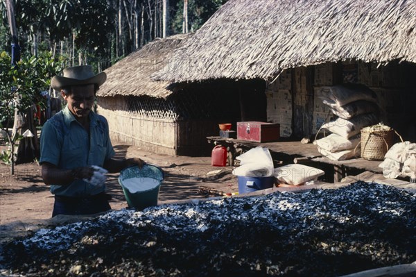 COLOMBIA, Vaupes, "Llanero worker in small N W Amazon forest cocaine lab. Prepares coca leaves adding sodium bicarbonate to leach cocaine alkaloid out of them as they ""sweat"" in sun for a day. A man wearing a hat making Coca / Cocaine in the process of applying Carbonate "