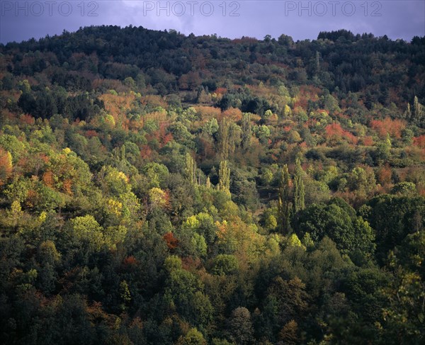 FRANCE, Midi-Pyrenees, Ariege, Forest beside Chateau Usson in Autumn colours.