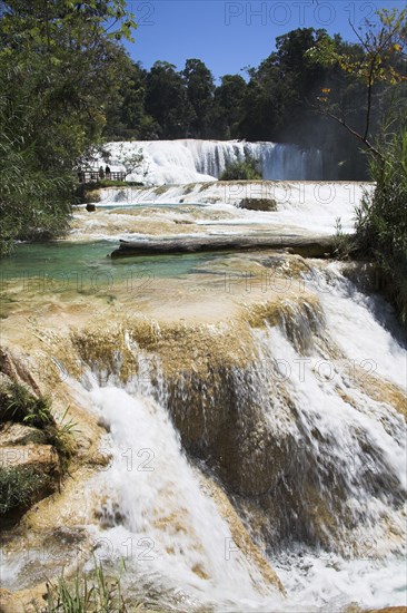 MEXICO, Chiapas, "Parque Nacional Agua Azul,", "Cascada Agua Azul, Agua Azul Waterfall, near Palenque"