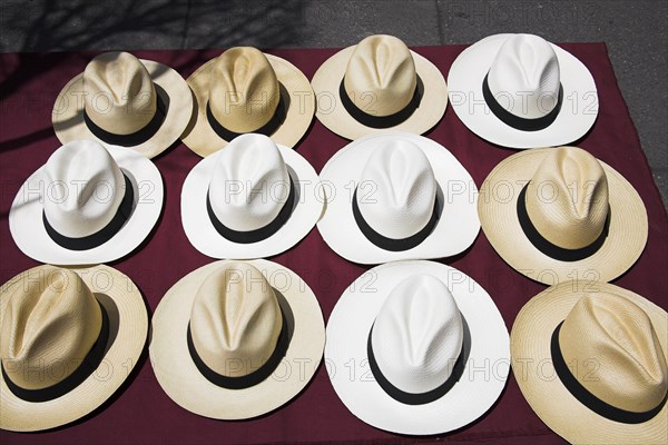 MEXICO, Mexico City, Twelve Panama hats for sale