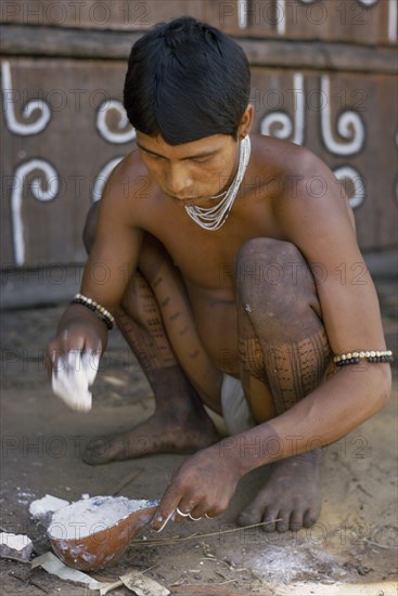 COLOMBIA, North West Amazon, Tukano Indigenous Tribe, Barasana man (sub group of Tukano) mixing white chalkey clay in a gourd to paint ceremonial design on front of the maloca large communal home.