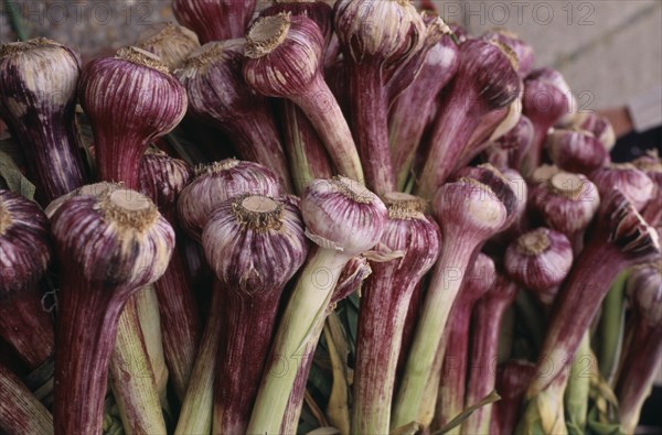 FOOD, Vegetable, Garlic, Garlic bulbs for sale in farmers market in Lewes East Sussex.