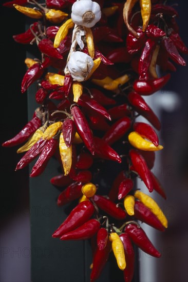 HUNGARY, Budapest, Garlic bulbs and red and yellow paprika hanging on string.