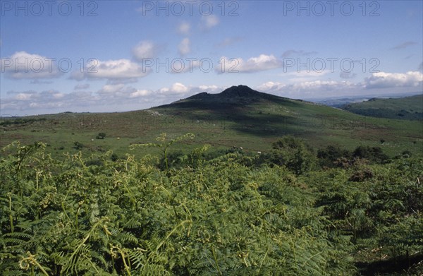 ENGLAND, Devon, Dartmoor, Rocky granite outcrop or tor with green bracken in foreground and shadows from clouds cast over moorland in centre.