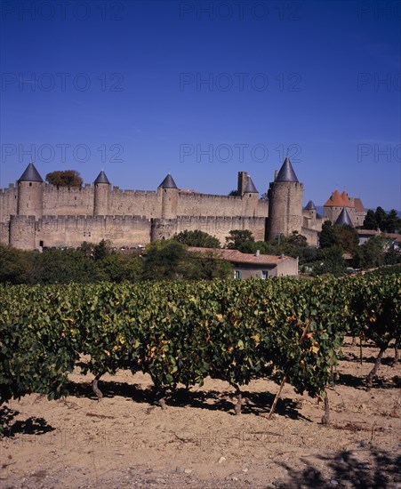 FRANCE, Languedoc-Roussillon, Aude, "Carcassonne.  City view from east towards medieval fortified outer walls of town and from left to right: Tour de Prisons, Tour de Casteras, Tour de Plo, Tour de la Vade. Vines growing in foreground. "