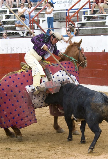 MEXICO, Jalisco, Puerto Vallarta, Bullfight. A picador lances the bull to weaken it in the tercio de varas.