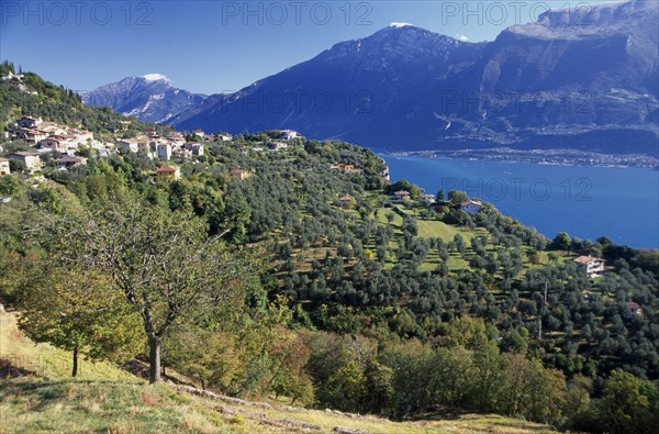 ITALY, Lombardy, Lake Garda Area, Landscape west of Lake Garda in area around village of Tremosine.  Distant houses spread across hillside overlooking lake and mountain backdrop.