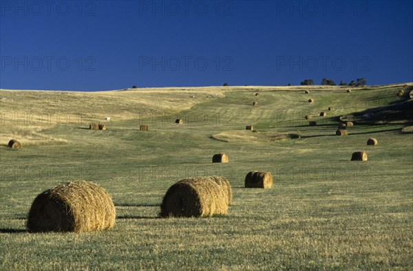 USA, Montana, Cascade County, Circular hay bales on the prairies.