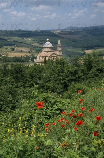 ITALY, Tuscany, Montepulciano, Tempio di San Biagio Church. High Renaissance church with domed roof surrounded by lush green trees and red poppies growing in the foreground