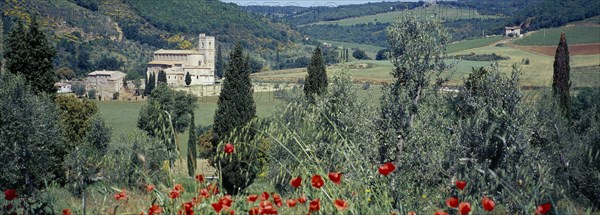 ITALY, Tuscany, San Antimo, San Antimo Abbey surrounded by green trees and hillside with red poppies growing in the foreground