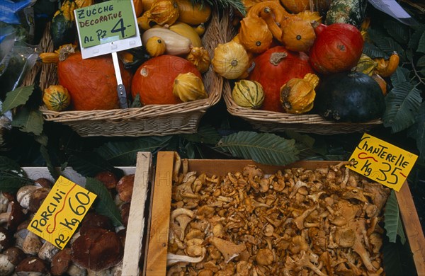 SWITZERLAND, Ticino, Lugano, Display of chanterelle and porcini mushrooms and decorative gourds for sale with price per kilo on coloured tickets.