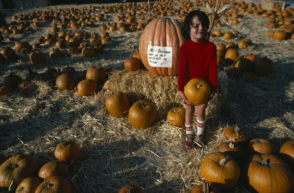 USA, California, Berkeley, Child holding pumpkin standing amongst vast array of harvested fruit spread out over straw covered ground with sign on large pumkin behind reading No Touching And Do Not Attempt to Pick Up.